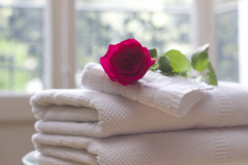 hotel-LA GARDE FREINET-min_towel_rose_clean_care_salon_spa_white_bath-731641